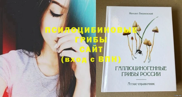 Альфа ПВП Арсеньев