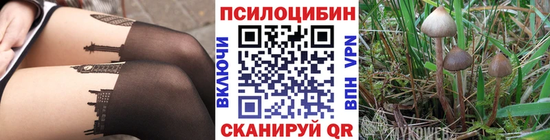 где продают   Менделеевск  Псилоцибиновые грибы прущие грибы 